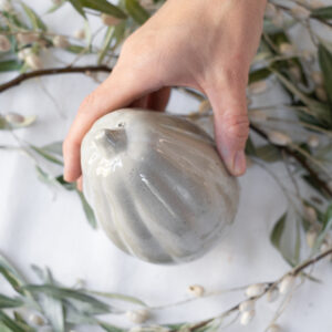 Dýně oválná proužky