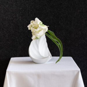 Porcelánová váza /Hutschenreuther