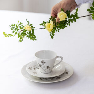 Snídaňová sada / Hutschenreuter