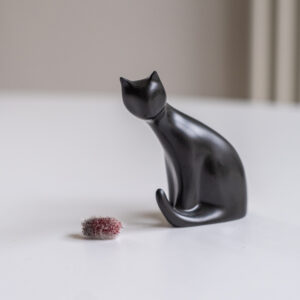 Kočka černá / Dux