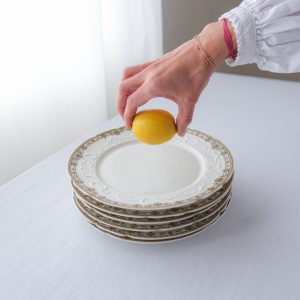 Sada 6 jídelních talířů / Limoges