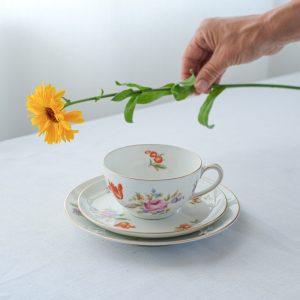 Snídaňová sada / Rosenthal