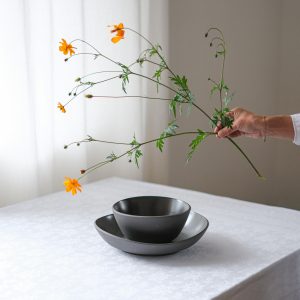 Sada mís / Rosenthal