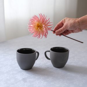 Pár hrnečků / Rosenthal